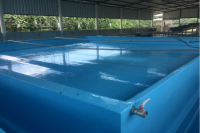 TINAS DE LAVADO DE BANANO