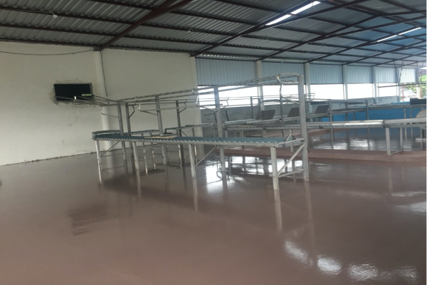 Empacadora Jeaneth banano Los Rios